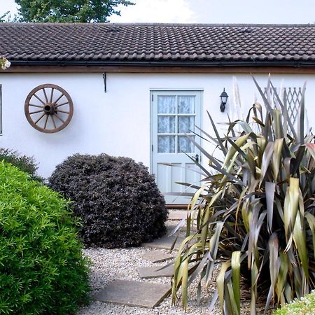 Ashton Cottages Чеддер Экстерьер фото